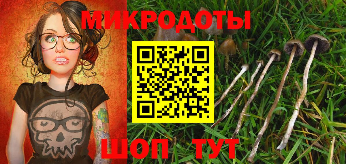 Галлюциногенные грибы Psilocybine cubensis  Вход с VPN  Котельники 