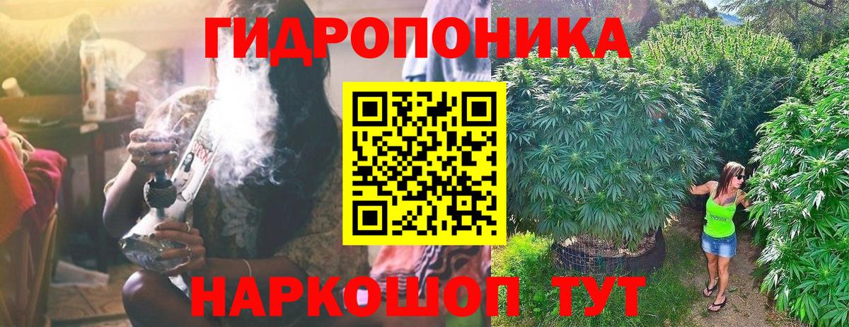 Шишки марихуана White Widow  Вход с VPN  Котельники  Бошки марихуана сатива 